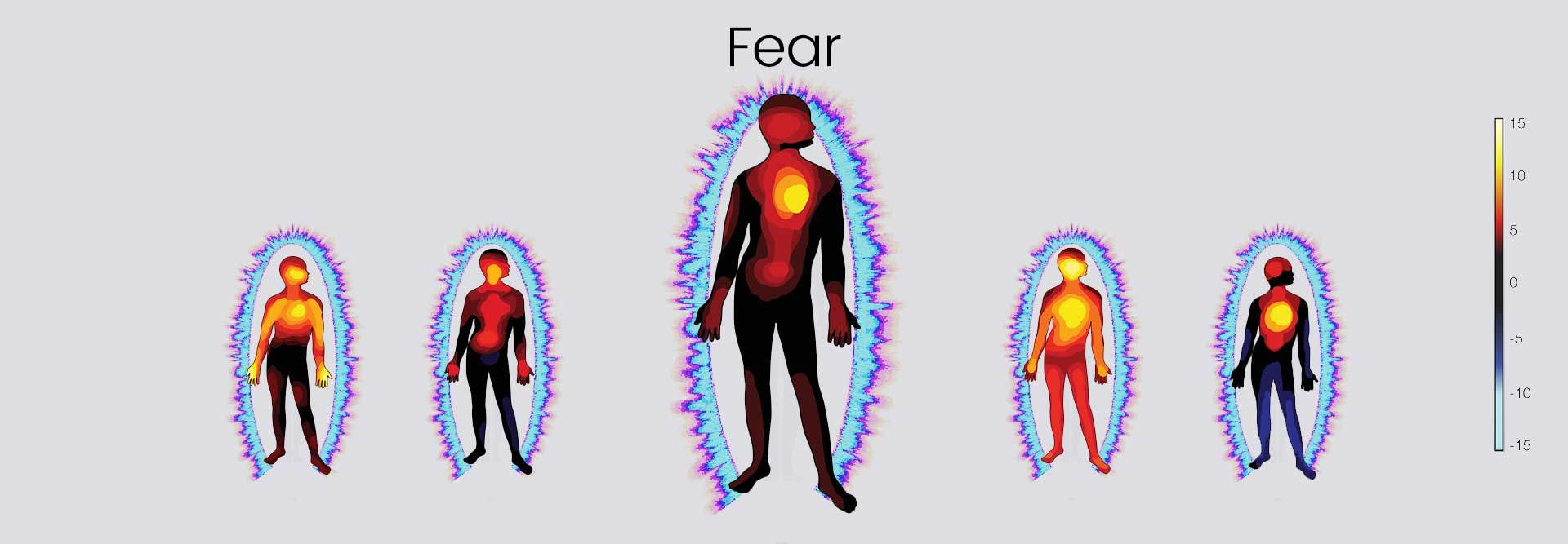 How the brain reacts when we feel fear prepares for fight or flight